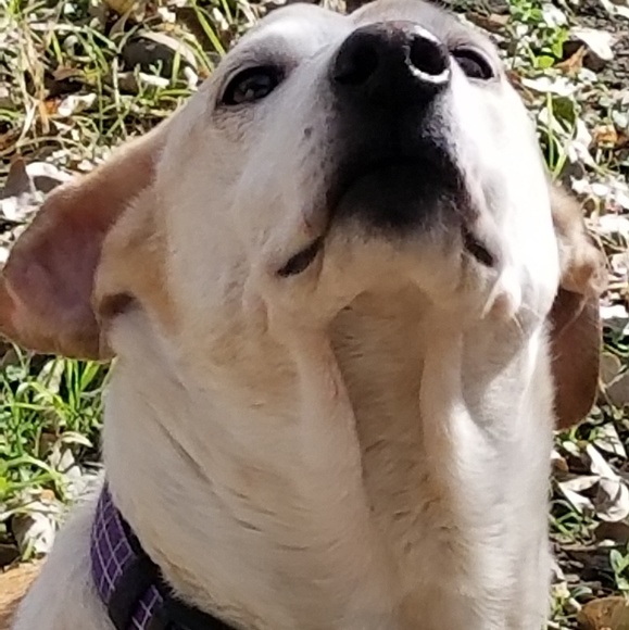 Meet your Posher, Norma - Picture 5 of 13